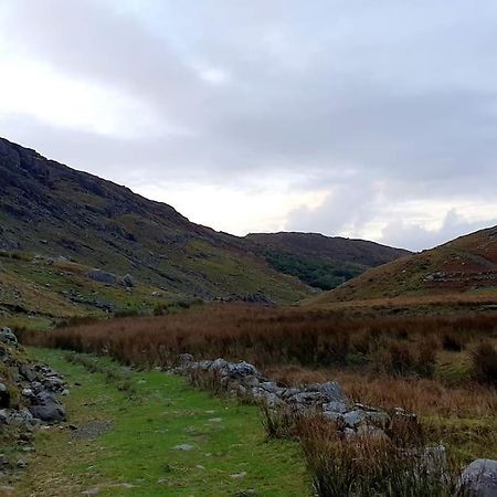 Secluded Cottage Nestled In The Beara Peninsula Killarney Exterior foto