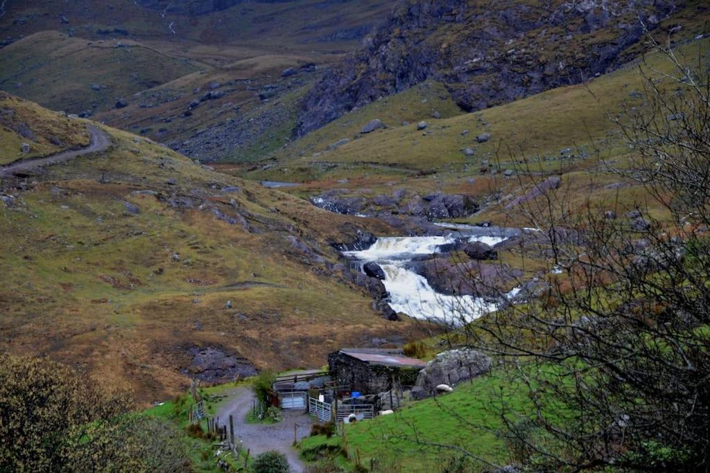 Secluded Cottage Nestled In The Beara Peninsula Killarney Exterior foto